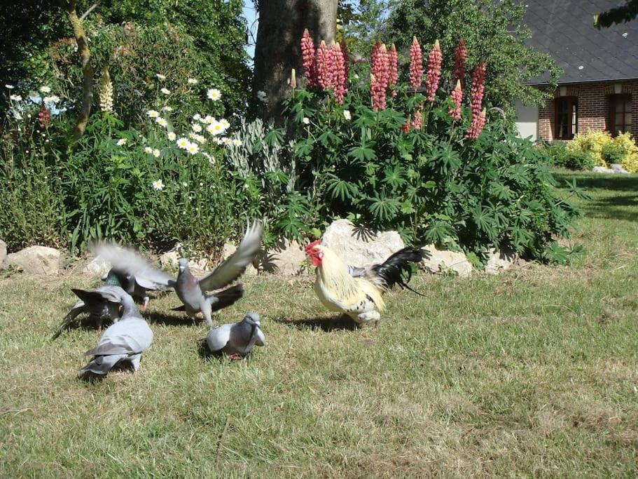 Les Coquelicots Villa Nibas Ngoại thất bức ảnh