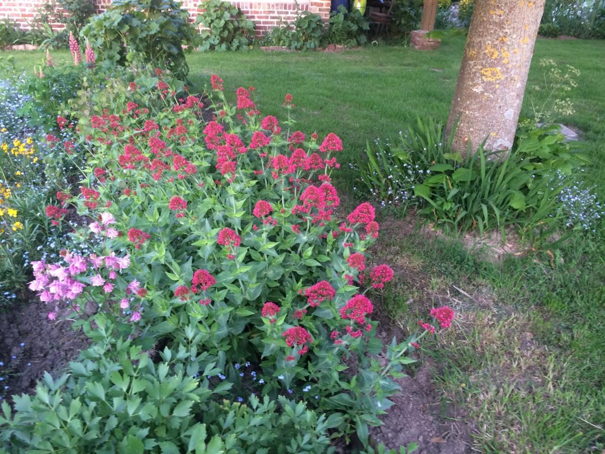 Les Coquelicots Villa Nibas Ngoại thất bức ảnh